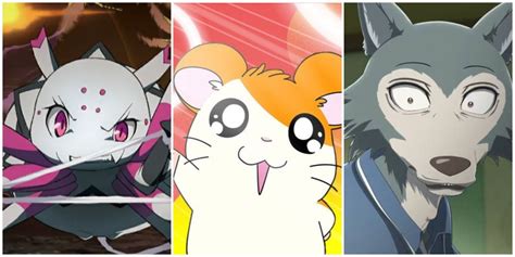 animales anime|The 21 Best Animal Characters in Anime, Ranked.